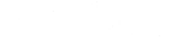 THE CRYPT VAPOR